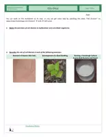 Vorschau - Arbeitsblätter - Cells - Cell Cycle - Seite 1
