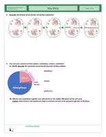 Vorschau - Arbeitsblätter - Cells - Cell Cycle - Seite 2