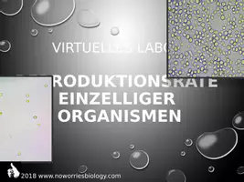 Vorschau - Arbeitsblätter - Zellen - Virtuelles Labor - Reproduktionsrate einzelliger Organismen - Seite 1