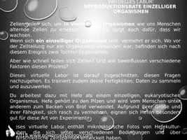 Vorschau - Arbeitsblätter - Zellen - Virtuelles Labor - Reproduktionsrate einzelliger Organismen - Seite 2