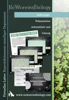 Vorschau - Arbeitsblätter - Zellen - Virtuelles Labor - Reproduktionsrate einzelliger Organismen - Deckblatt