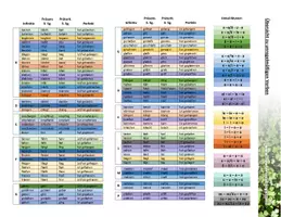 Vorschau - Fördermaterial/Inklusion - DFU - Unregelmäßige Verben des Deutschen - alphabetisch - Seite 1