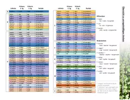 Vorschau - Fördermaterial/Inklusion - DFU - Unregelmäßige Verben des Deutschen - alphabetisch - Seite 2