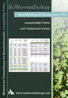 Vorschau - Fördermaterial/Inklusion - DFU - Unregelmäßige Verben - Vokalmuster - Deckblatt