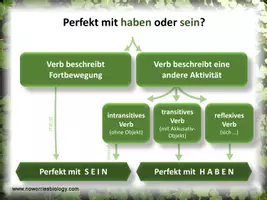 Vorschau - Merkblätter - Perfekt - Haben oder Sein - Seite 1