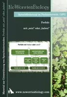 Vorschau - Merkblätter - Perfekt - Haben oder Sein - Deckblatt