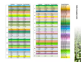 Vorschau - Fördermaterial/Inklusion - CLIL - Irregular Verbs - Alphabetically - Seite 1