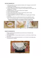 Vorschau - Experimente - DIY Bienenwachstücher_Anleitung - Seite 3