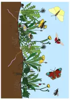 Vorschau - Mal- und Bastelvorlagen - Wimmelbild zum Thema Wiese + Aufgabenblatt - Seite 1