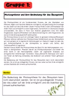 Vorschau - Stundenentwürfe - Photosynthese Gruppenarbeit - 4 texte + Aufgaben - Seite 1