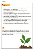 Vorschau - Stundenentwürfe - Photosynthese Gruppenarbeit - 4 texte + Aufgaben - Seite 2