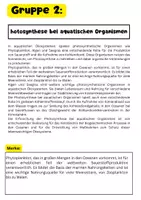 Vorschau - Stundenentwürfe - Photosynthese Gruppenarbeit - 4 texte + Aufgaben - Seite 3