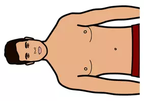 Vorschau - Präsentationen/Tafelbilder - El cuerpo - Tafelmaterial - Seite 2