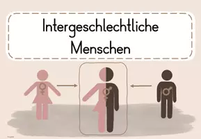 Vorschau - Arbeitsblätter - 6. UE Sexualerziehung: Intergeschlechtliche Menschen - Seite 3