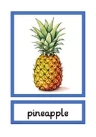 Vorschau - Bildkarten - picture cards fruits A4 & A5 - Seite 1