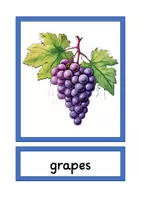 Vorschau - Bildkarten - picture cards fruits A4 & A5 - Seite 3