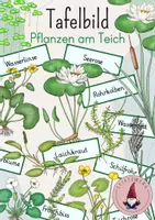 Vorschau - Präsentationen/Tafelbilder - Tafelbild: Pflanzen am Teich/ See/ Weiher - Deckblatt