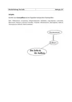 Vorschau - Arbeitsblätter - Materialpaket: Wiederholung Oberstufe Biologie (NRW) - Seite 2