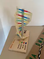 anteprima - Programmi scolastici / Materiali per docenti - LA SFILATA DEGLI ACIDI NUCLEICI - Pagina di copertina