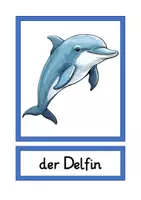 Vorschau - Bildkarten - Tafelkarten wilde Tiere in A4 & A5 - Seite 3