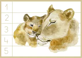 Vista previa - Unidades / Secuencias / Situaciones de Aprendizaje - Los felinos de la selva - página 3