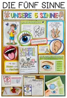 Vorschau - Stundenentwürfe - 5 Sinne – Lernwerkstatt zu Sinnesorganen, Auge, Ohr, Nase, Haut und Zunge | 3.–5. Schulstufe - Seite 1