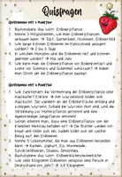 Vorschau - Bildkarten - Erdbeere: Abschlussquiz (Abschlusstunde) - Seite 3