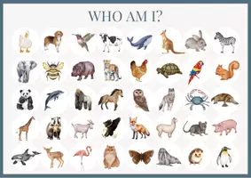 Vorschau - Spiele - English Game / Who am I? / Game - Seite 1