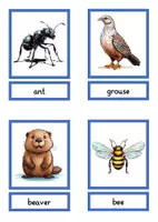 Vorschau - Spiele - picture and word game local animals - Seite 1