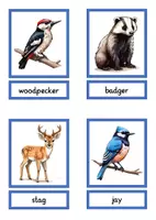 Vorschau - Spiele - picture and word game local animals - Seite 2