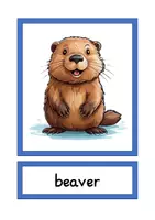 Vorschau - Bildkarten - picture cards local animals A4 & A5 - Seite 3
