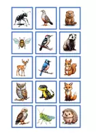 Vorschau - Spiele - Memory® - local animals picture word game - Deckblatt