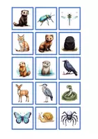 Vorschau - Spiele - Memory® - local animals picture word game - Seite 1