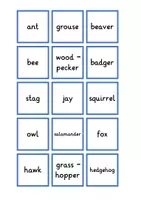 Vorschau - Spiele - Memory® - local animals picture word game - Seite 3