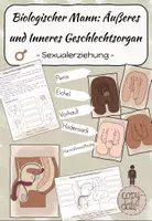 Vorschau - Arbeitsblätter - 4. UE Sexualerziehung: Biologischer Mann_Äußeres und Inneres Geschlechtsorgan - Deckblatt