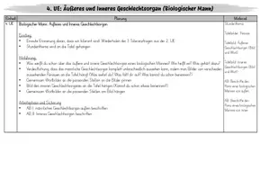 Vorschau - Arbeitsblätter - 4. UE Sexualerziehung: Biologischer Mann_Äußeres und Inneres Geschlechtsorgan - Seite 2