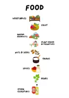 Vorschau - Poster - Food vocab booklet + food poster - Seite 1