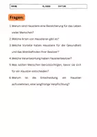 Vorschau - Arbeitsblätter - Haustiere - 6 Fragen zum Text - KOSTENLOS - Seite 2
