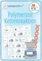 Vorschau - Spiele - Polymerase Kettenreaktion (PCR) – Sortieraktivität - Deckblatt