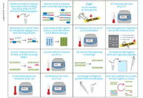 Vorschau - Spiele - Polymerase Kettenreaktion (PCR) – Sortieraktivität - Seite 2