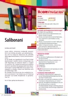 Vorschau - Stundenentwürfe - Materialpaket Salibonani - Orff-, Soundbellows-, Ukulele- und Boomwhackersspielsätze - Seite 2