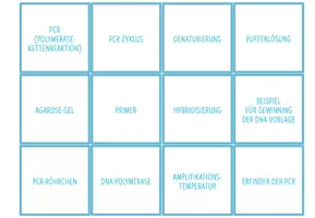 Vorschau - Spiele - Polymerase Kettenreaktion (PCR) – Zuordnungsaktivität / Paare Finden Spiel - Seite 1