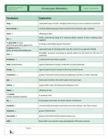 Vorschau - Arbeitsblätter - CLIL - Vocabulary Training - Mammals - Seite 2