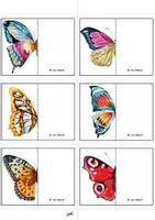 Vorschau - Spiele - Symmetrie Spiel: Motten und Schmetterlinge. - Seite 2