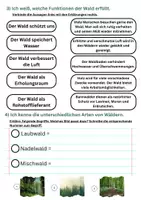 Vorschau - Arbeitsblätter - Forscherheft Wald - das musst du wissen! - Seite 2