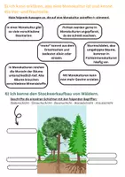 Vorschau - Arbeitsblätter - Forscherheft Wald - das musst du wissen! - Seite 3