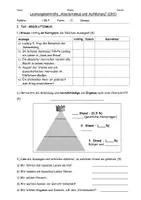Vorschau - Test - Leistungskontrolle Absolutismus und Aufklärung Geschichte - Seite 3