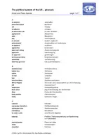 Vorschau - Anderer Materialtyp - Glossar The political system of the US - Seite 1