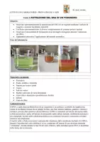 anteprima - Esperimenti - Relazioni di laboratorio macromolecole biologiche_A028_A050 - Pagina 3