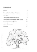 Vorschau - Unterrichtsreihen - Der Baum im Anfangsunterricht - Seite 3
